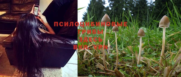 MDMA Premium VHQ Дмитриев