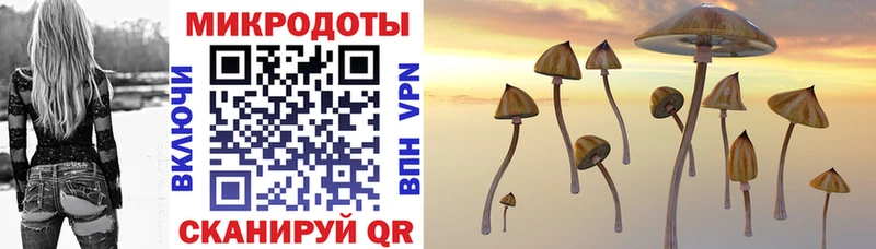 Галлюциногенные грибы Psilocybe Купить закладки Алексин